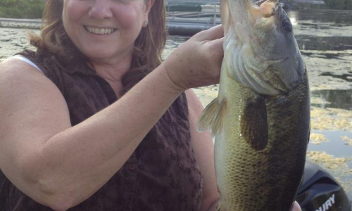 bass2